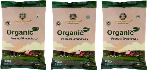 Green Blossom Organic Brown Peanut (Raw Peanuts | Moongfali | High Protein Pack of 5)