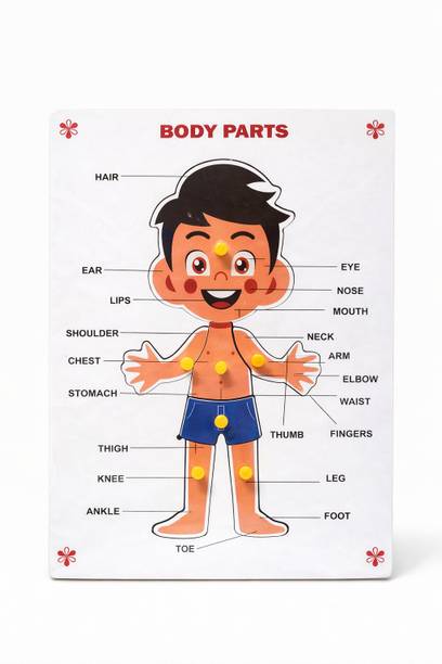Savora Wooden Body Parts Knob Puzzle Board for Kids Age 2–4 Years