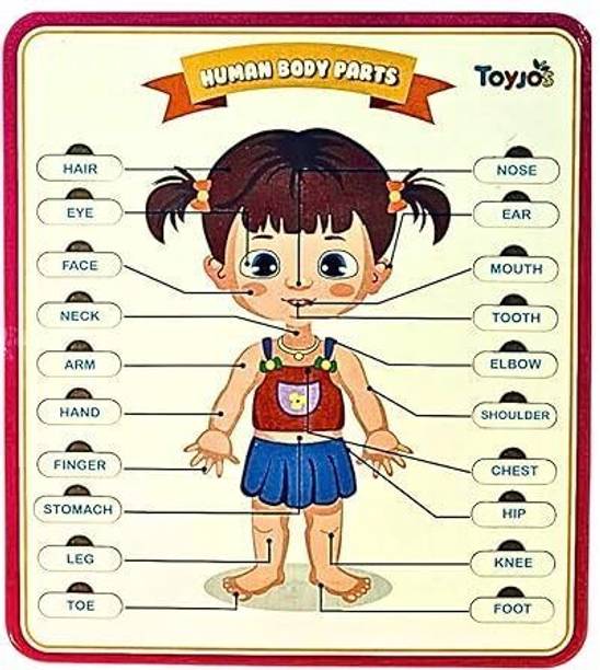 Toyjos Educational Wooden Human Body Parts Puzzle Board for Kids