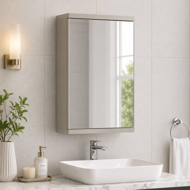Eimear enterprise Wall Mounted Bathroom Mirror Cabinet 16.34 x 8.74 Inch Plastic Wall Shelf
