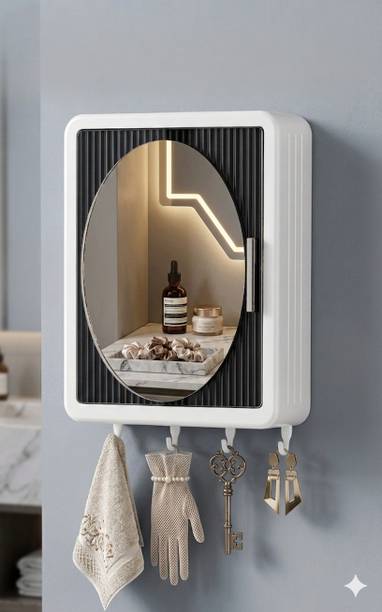 Shiswa Plastic Wall Mount Cabinet
