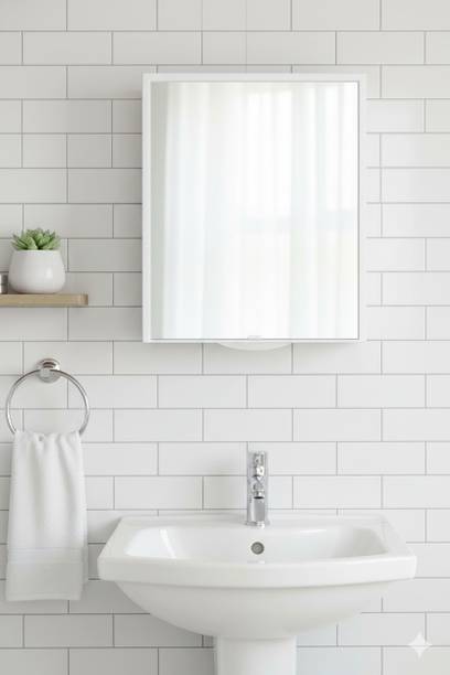 Zahab Bathroom Cabinet with Mirror & Magnetic Door | Wall Mounted Storage cabinet Plastic Wall Shelf