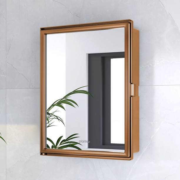 Plantex Bathroom Cabinet with Mirror/Bathroom Storage Organizer/Bathroom Shelf(14x18 In) Acrylic Wall Shelf