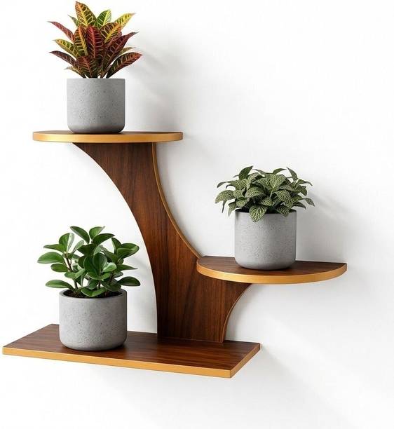 riyawood Engineered Wood Curved Wall Shelf Wooden Wall Shelf