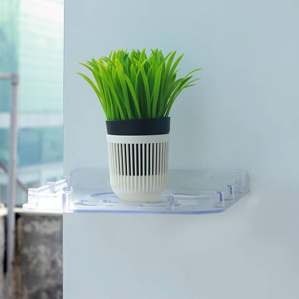 Lipka Acrylic Wall Shelf