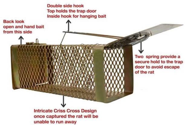 ARTAGE Pack of 1 RAT MOUSE TRAP CAGE Multicolor design - CODE MM 24 Live Trap