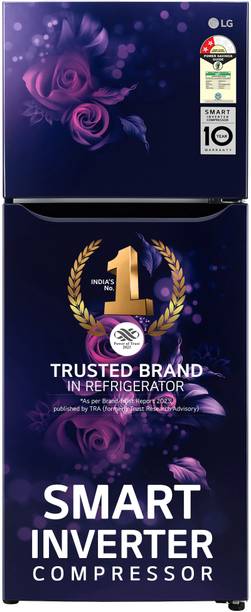 LG 242 L Frost Free Double Door 2 Star Refrigerator