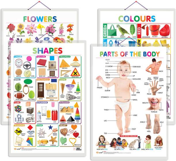 Set of 4 Flowers, Colours, Shapes and Parts of the Body Early Learning Educational Charts for Kids | 20"X30" inch |Non-Tearable and Waterproof | Double Sided Laminated | Perfect for Homeschooling, Kindergarten and Nursery Students Paper Print