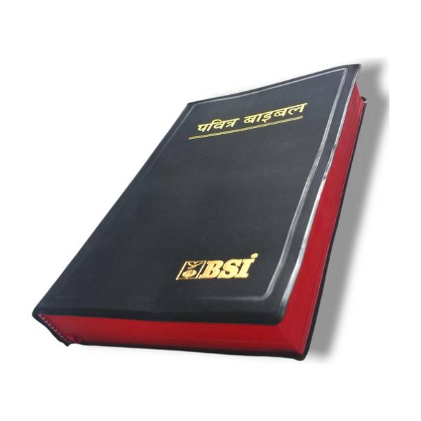 Pavitra Bible (Hindi) – New Edition | Paper Bound