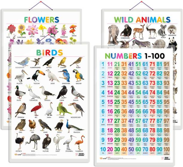 Set of 4 Wild Animals, Birds, Flowers and Numbers 1-100 Early Learning Educational Charts for Kids | 20"X30" inch |Non-Tearable and Waterproof | Double Sided Laminated | Perfect for Homeschooling, Kindergarten and Nursery Students Paper Print