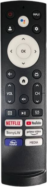 Electvision Remote Control for LED or LCD TV (without v...