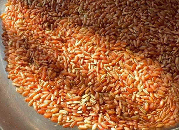 Veshak RedRice Red Everyday Rice (Medium Grain, Unpolished)