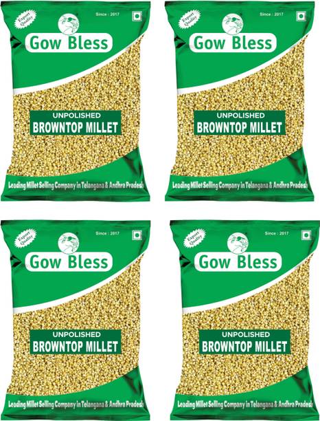 Gow Bless Browntop Millet – 4kg | Detox Millet | High Fiber Grain Brown Rice (Medium Grain, Unpolished)
