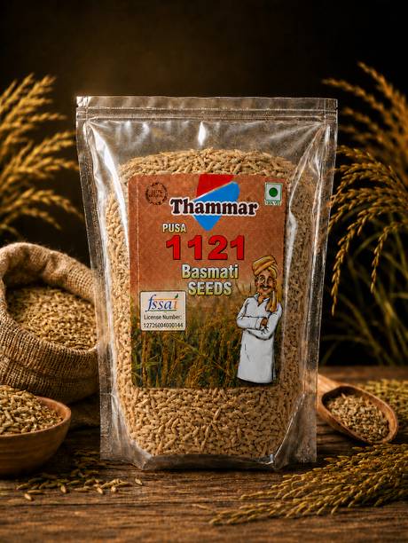 THAMMAR Pusa Basmati Paddy Seeds 1121 | for Farming Agriculture & Sowing) Brown Pusa Basmati Rice (Medium Grain, Husking)