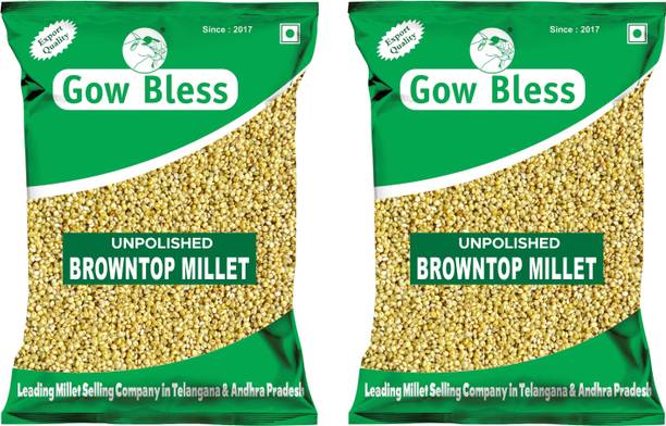 Gow Bless Browntop Millet – 2kg | Detox Millet | High Fiber Grain Brown Rice (Medium Grain, Unpolished)