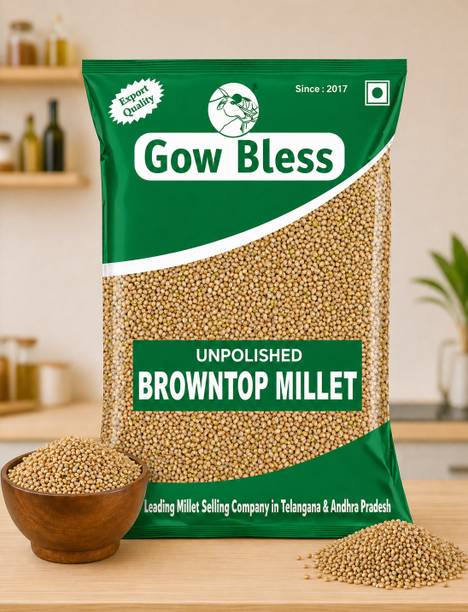 Gow Bless Browntop Millet – 1kg | Detox Millet | High Fiber Grain Brown Rice (Medium Grain, Unpolished)