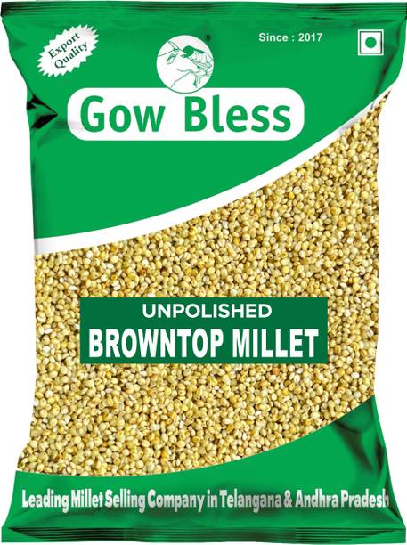 Gow Bless Browntop Millet – 1kg | Detox Millet | High Fiber Grain Brown Rice (Medium Grain, Unpolished)
