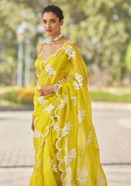 HouseOfCommon Embroidered Bollywood Jimmy choo Saree