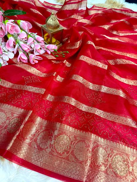 Banaras silk palace Dyed Bollywood Organza Saree (Red)