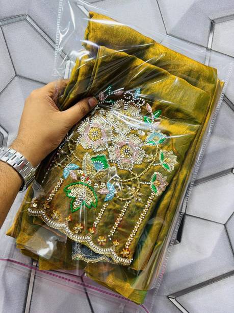 LAJEELEE Embroidered Bollywood Jimmy choo Saree