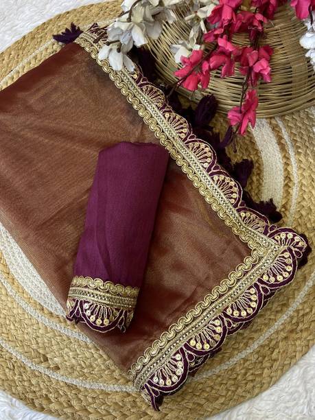 Applique Bollywood Net Saree