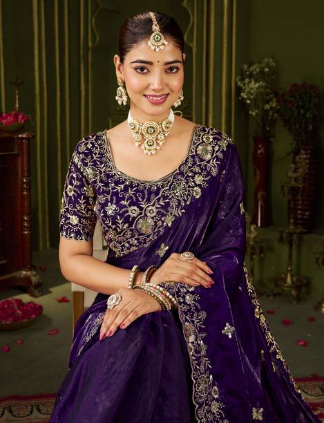 Embroidered Bollywood Organza, Jimmy Jimmy Saree