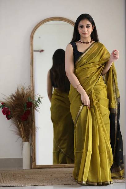 Embroided Chiffon Saree