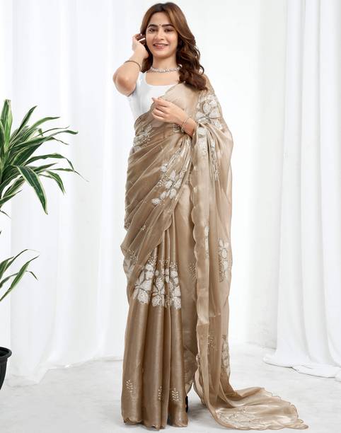 Satrani Embellished, Embroidered Bollywood Jimmy choo, Chiffon Saree