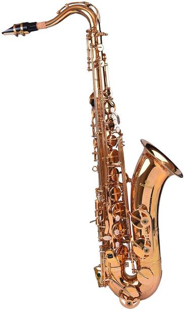 KADENCE Saxophones KTSAXG Tenor Saxophone