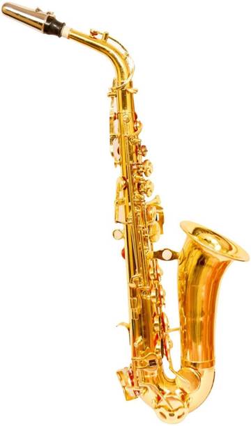 YORBAX Saxophone Pold Polish Alto Saxophone (golden, Sax Case Included) YRX1 Alto Saxophone
