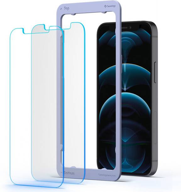 Caseology Tempered Glass Guard for Apple iphone 12 Pro Max