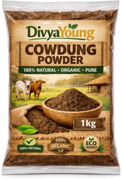 DIVYAYOUNG DUNG0018 Earthenware Cracker