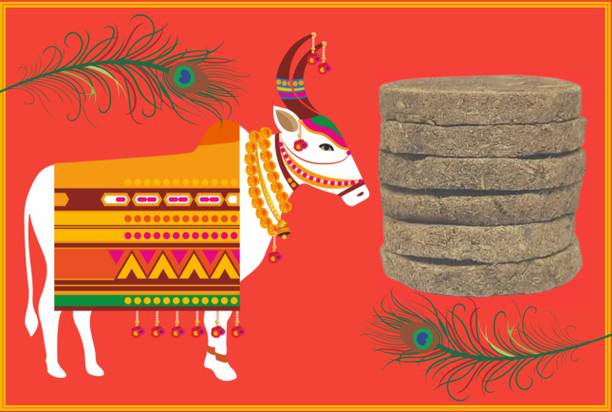 DIVYAYOUNG COW DUNG/UPLE Earthenware Cracker