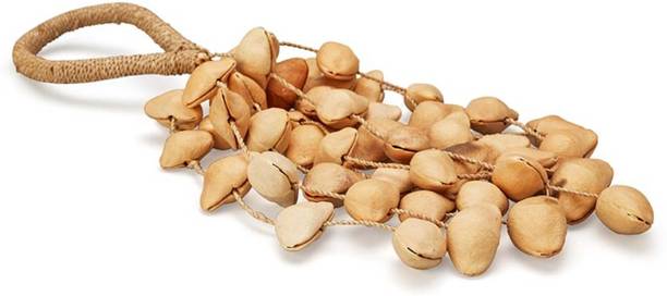 Sarveda Kenari Seed Shell Large Shaker Percussion