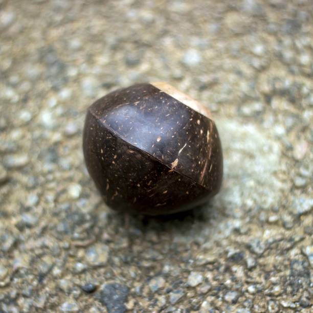 Sarveda Shaker Percussion