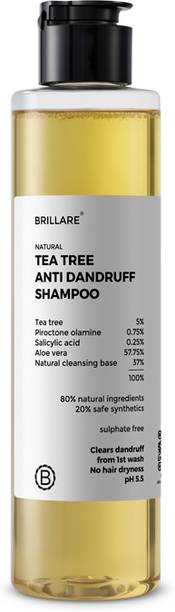 BRILLARE 5% Tea Tree Anti Dandruff shampoo | Reduces Dandruff & Soothes Scalp itching