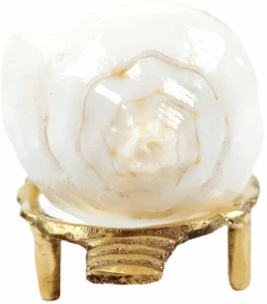 Mayapuri Decorative, Sacred Shankh