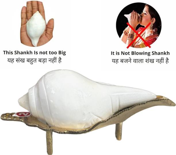 Bhabani Antique shop Tailos Hindu Religious Small Size JalShankh with Brass Shank Stand Sacred Shankh