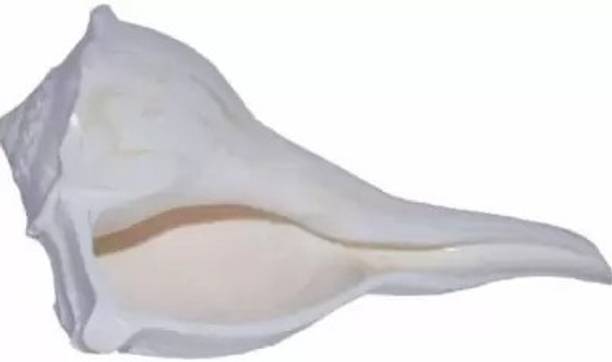 gifts for love Dakshinavarti shankh Narayan Shank (3.5 inch - 5 inch) , White Blowing Shankh