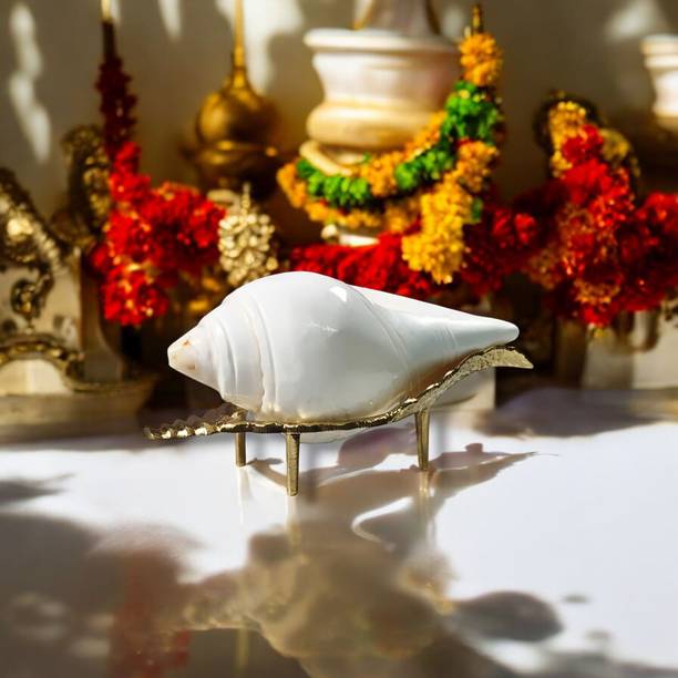 Divine Bazaar Sacred Shankh