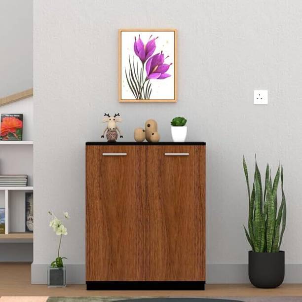 FunTree Multipurpose 2 Doors Storage Cabinet for Living Room, Bedroom, Office, Hallway Engineered Wood Shoe Rack