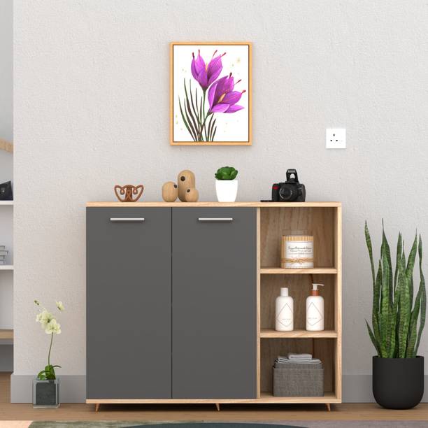 FunTree Multipurpose Storage Cabinet with Dual Doors for Living Room, Bedroom, Office Engineered Wood Shoe Rack