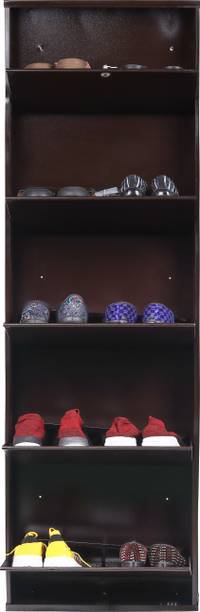 Jaimini Space-Saving 19 Inches Wide Wall-Mountable with Lock & Key for Home and Outdoor Metal Shoe Rack
