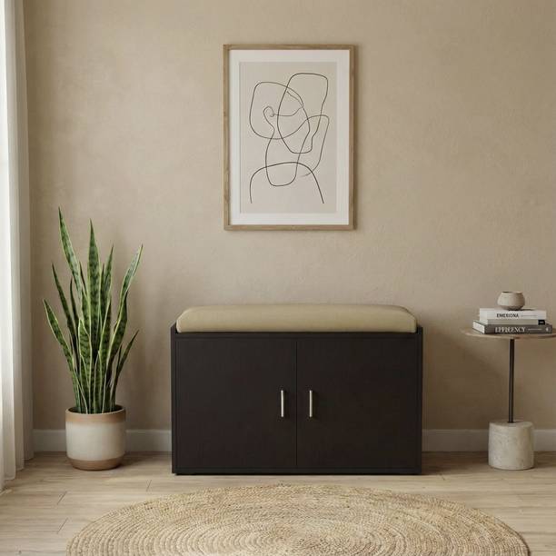 Aspirata Furniture Wooden Shoe Rack/Shoe Cabinet with Cushion for Home/Office Engineered Wood Shoe Rack