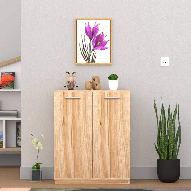 FunTree Multipurpose 2 Doors Storage Cabinet for Living Room, Bedroom, Office, Hallway Engineered Wood Shoe Rack