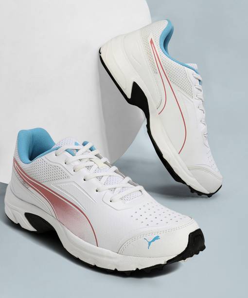 PUMA PUMA Cricket Power 2.0 Sports Men White Cricket Shoes F...