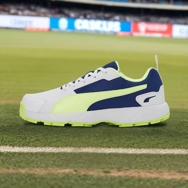 PUMA Cricket HighRun Cricket Shoes For Men