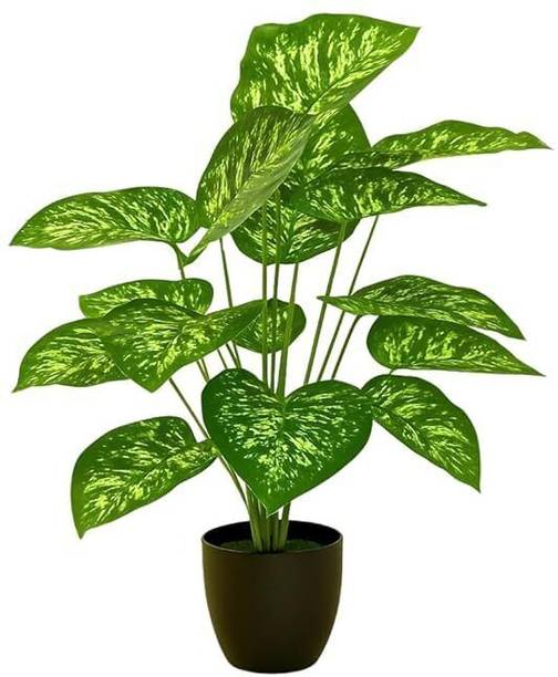 GardenGyani Artificial Plant  with Pot