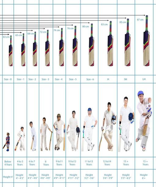 Creative Corner SSB Popular Willow Cricket Bat Org Popl...