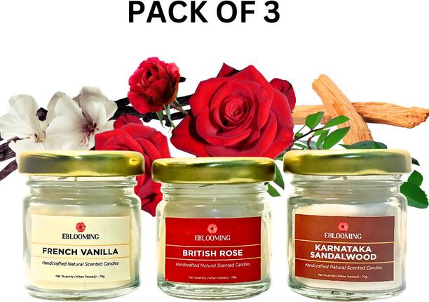 EBLOOMING Scented Candles for Home Decor in Small Glass Jars | Rose, Vanilla, Sandalwood Candle